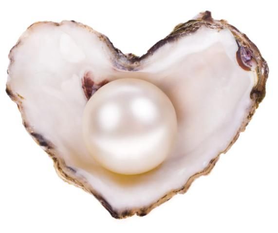 Best Jewelry Designer in Canada,  Best Jewelry Designer in Ontorio, Best Gemologist in Canada, Best Gemologist in Ontorio, Best Gemologist , Best Jewelry Designer, Expert Gemologist, Gemologist Expert, Gemologist, Jinas Jewels